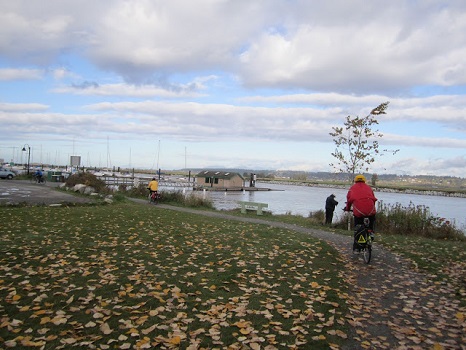 Ward's Public Marina 